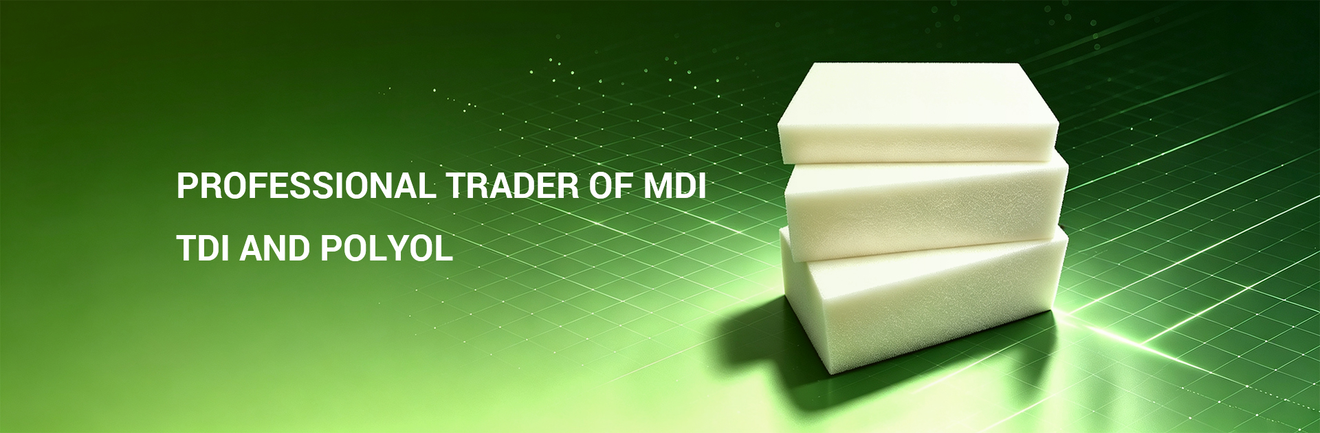 首页banner2
